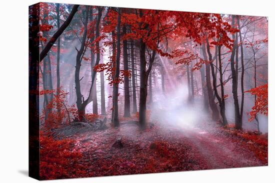 Mystical Red Forest-null-Stretched Canvas