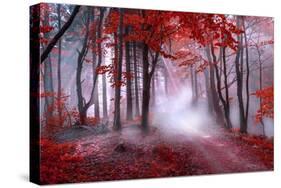 Mystical Red Forest-null-Stretched Canvas
