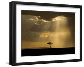 Mystical Sunset on Camp in the Maasai Mara, Kenya-Joe Restuccia III-Framed Photographic Print