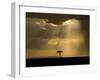 Mystical Sunset on Camp in the Maasai Mara, Kenya-Joe Restuccia III-Framed Photographic Print