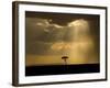 Mystical Sunset on Camp in the Maasai Mara, Kenya-Joe Restuccia III-Framed Photographic Print