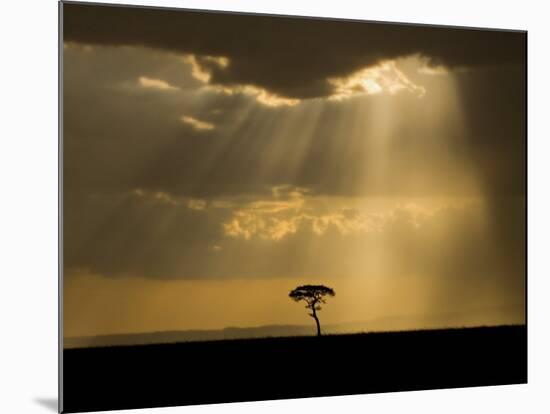 Mystical Sunset on Camp in the Maasai Mara, Kenya-Joe Restuccia III-Mounted Photographic Print