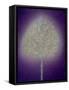 Mystical Tree, 1996-Peter Davidson-Framed Stretched Canvas