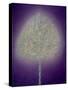 Mystical Tree, 1996-Peter Davidson-Stretched Canvas