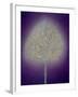 Mystical Tree, 1996-Peter Davidson-Framed Giclee Print