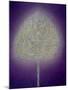 Mystical Tree, 1996-Peter Davidson-Mounted Giclee Print