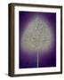 Mystical Tree, 1996-Peter Davidson-Framed Giclee Print