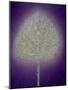 Mystical Tree, 1996-Peter Davidson-Mounted Giclee Print