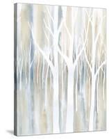 Mystical Woods II-Debbie Banks-Stretched Canvas