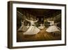 Mystics Dancers-Walde Jansky-Framed Photographic Print