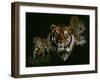 Myth, Fable and Fantasy-Barbara Keith-Framed Giclee Print