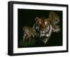 Myth, Fable and Fantasy-Barbara Keith-Framed Giclee Print