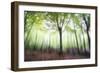 Myth-Viviane Fedieu Daniel-Framed Photographic Print