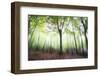 Myth-Viviane Fedieu Daniel-Framed Photographic Print