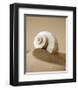 Mythic Beach VI-Jeff Friesen-Framed Art Print