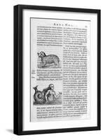 Mythical Creatures, 1675-Athanasius Kircher-Framed Giclee Print