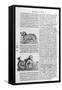 Mythical Creatures, 1675-Athanasius Kircher-Framed Stretched Canvas