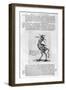 Mythical Creatures, 1678-Athanasius Kircher-Framed Giclee Print