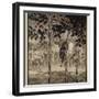 Mythical Irish Dogs-Arthur Rackham-Framed Photographic Print