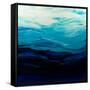 Mythical Sea-Barbara Bilotta-Framed Stretched Canvas