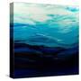 Mythical Sea-Barbara Bilotta-Stretched Canvas