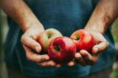 Farmer with Apples-mythja-Photographic Print