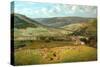 Mytholmroyd & Cragg Vale From Ewood Hall, 1869-John Holland-Stretched Canvas