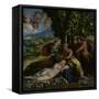 Mythological Scene, c.1524-Dosso Dossi-Framed Stretched Canvas