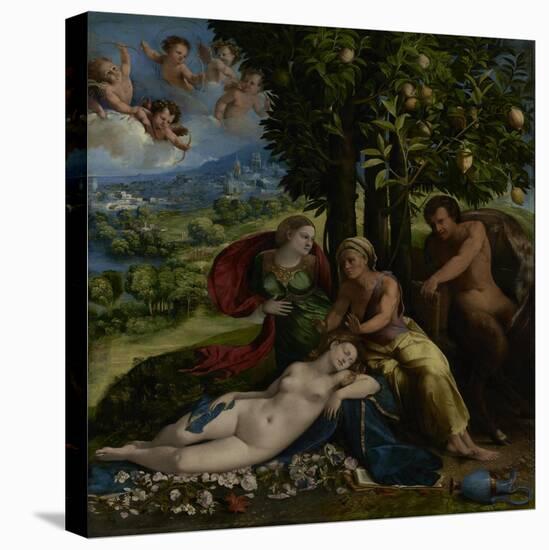 Mythological Scene, c.1524-Dosso Dossi-Stretched Canvas