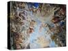 Mythological Scenes with Animals-Luca Giordano-Stretched Canvas