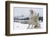 Mythological statue in the snow covered Belvedere Garten, Austria-Roberto Moiola-Framed Photographic Print