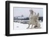 Mythological statue in the snow covered Belvedere Garten, Austria-Roberto Moiola-Framed Photographic Print