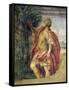 Mythological Subject-Agostino Carracci-Framed Stretched Canvas