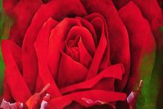 A Great Rose, C.2002-03-Myung-Bo Sim-Giclee Print
