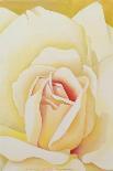 The Rose, 2004-Myung-Bo Sim-Giclee Print