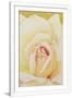 Gramercy White