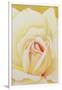 Gramercy White