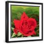 Black Frame