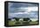Myvatn, Camping Site-Catharina Lux-Framed Stretched Canvas