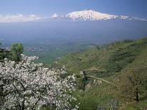 Mount Etna, Island of Sicily, Italy, Mediterranean-N A Callow-Photographic Print