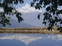 Mount Annapurna, Himalayas, Nepal, Asia-N A Callow-Stretched Canvas