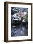 N.A., USA, Washington, Seattle. Moon bridge in Kabota Gardens in winter.-Julie Eggers-Framed Photographic Print