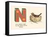 N is a Robin's Nest-null-Framed Stretched Canvas