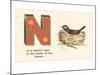N is a Robin's Nest-null-Mounted Art Print