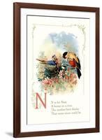 N is for Nest-null-Framed Art Print
