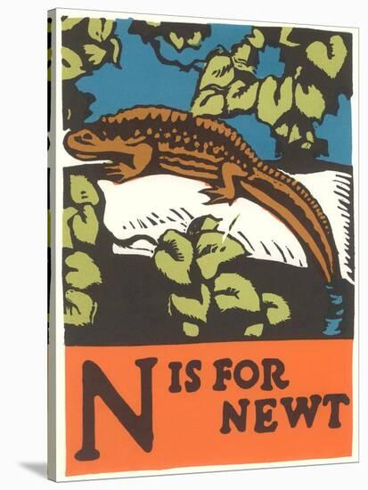 N is for Newt-null-Stretched Canvas