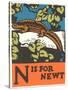 N is for Newt-null-Stretched Canvas
