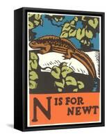 N is for Newt-null-Framed Stretched Canvas