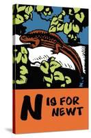 N is for Newt-Charles Buckles Falls-Stretched Canvas