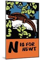 N is for Newt-Charles Buckles Falls-Mounted Art Print